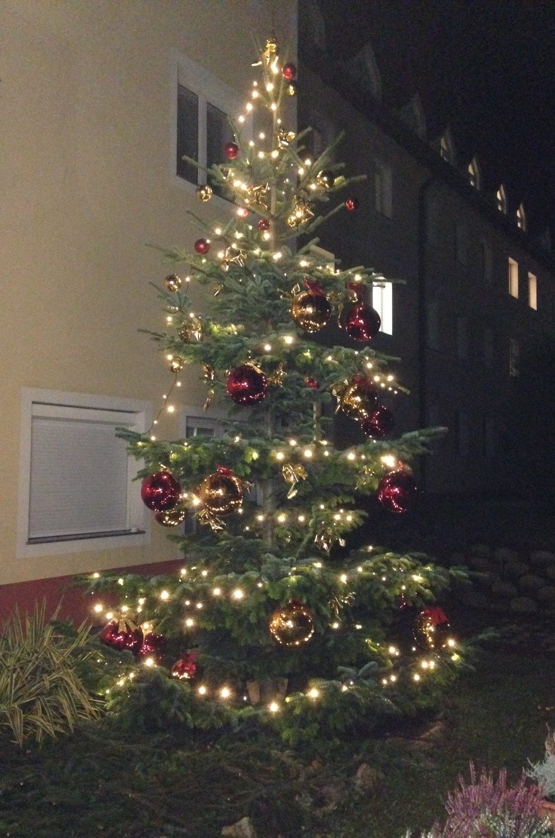 Christbaum aufgestellt