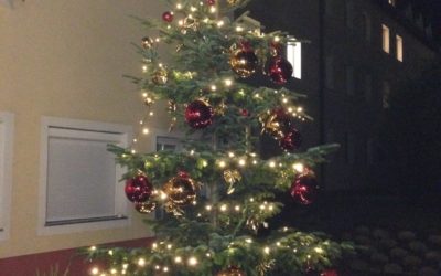 Christbaum aufgestellt