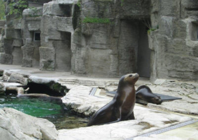 Ausflug nach Schönbrunn