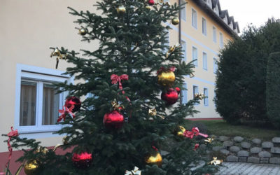 Christbaum