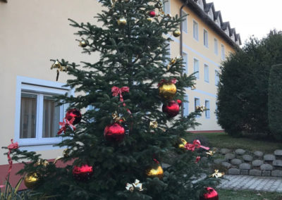 Christbaum_Pflegeheim Beer